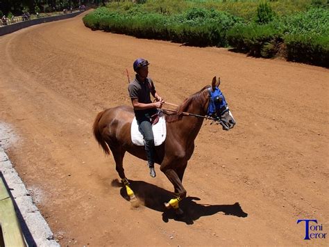 follada cabalgando|'cabalgando' Search .